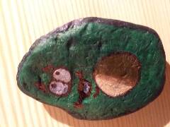 Avokado