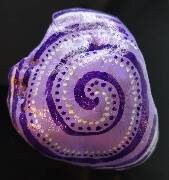 Spirálovič