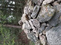 Tučňák