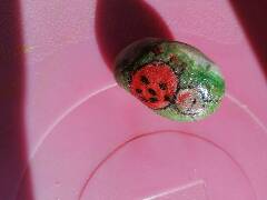 Sedmitečný brouček