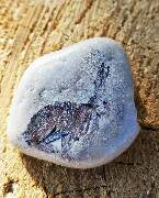 Veselé velikonoce! zajíc 3