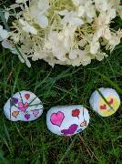 Srdíčkové kamínky