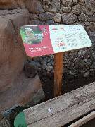 Vlajka České republiky (Flag of the Czech Rep