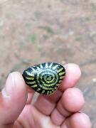 Loukov u Mnichova Hradiště