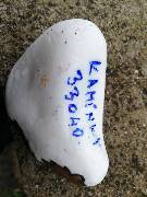 Úterý