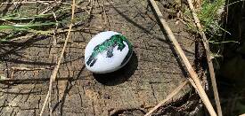 České Budějovice 4