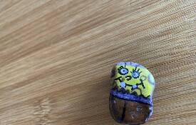 České Budějovice 5