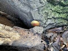 České Budějovice 5