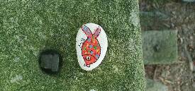 České Budějovice 5