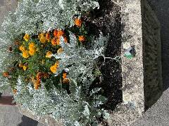 České Budějovice 5