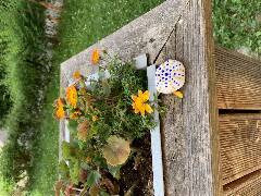 České Budějovice 5