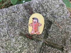 České Budějovice 5