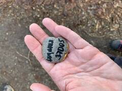 České Budějovice 5