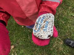 České Budějovice 7