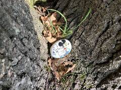 České Budějovice 11