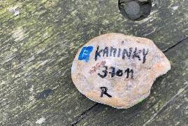 České Budějovice 11