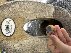 Hluboká nad Vltavou