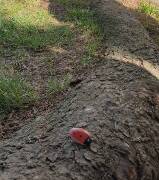 Výdejní místo Příchovice