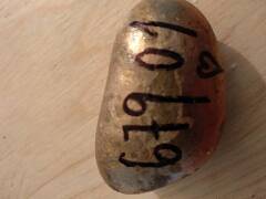 Skalice nad Svitavou