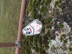 Ducháček Jozefínka