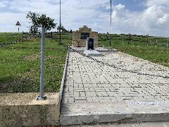 Pampeliška