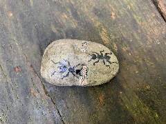 Mravenci s provázkem