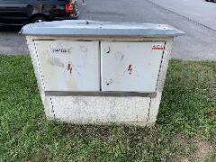 Žába