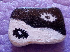 cerna a bila na ceste