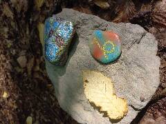 Znamení zvěrokruhu