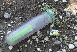 Zpívající ptáček