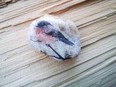 Z ptačí říše - 2