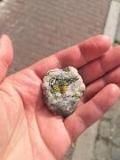 Z ptačí říše - 3