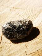 Z říše hmyzu - važka 1