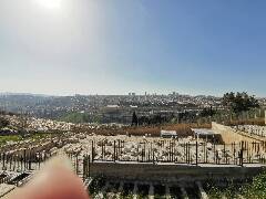 Veselé velikonoce! zajíc 1