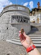 Veselé velikonoce! zajíc 1