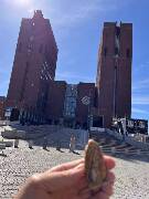 Veselé velikonoce! zajíc 1