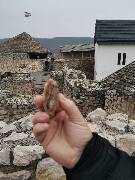 Veselé velikonoce! zajíc 1