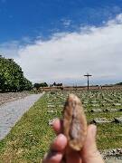 Veselé velikonoce! zajíc 1