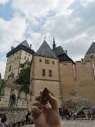 Veselé velikonoce! zajíc 1