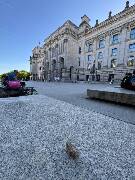 Veselé velikonoce! zajíc 1