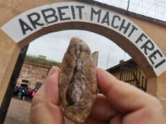 Veselé velikonoce! zajíc 1