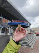 Veselé velikonoce! zajíc 1