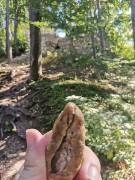 Veselé velikonoce! zajíc 1