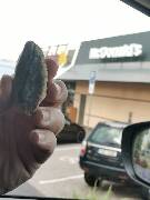 Veselé velikonoce! zajíc 1