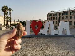 Veselé velikonoce! zajíc 1