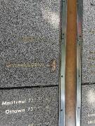 Veselé velikonoce! zajíc 1