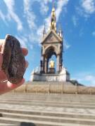 Veselé velikonoce! zajíc 1