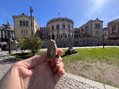 Veselé velikonoce! zajíc 1