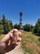 Veselé velikonoce! zajíc 1