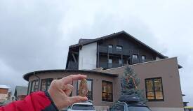 Veselé velikonoce! zajíc 1